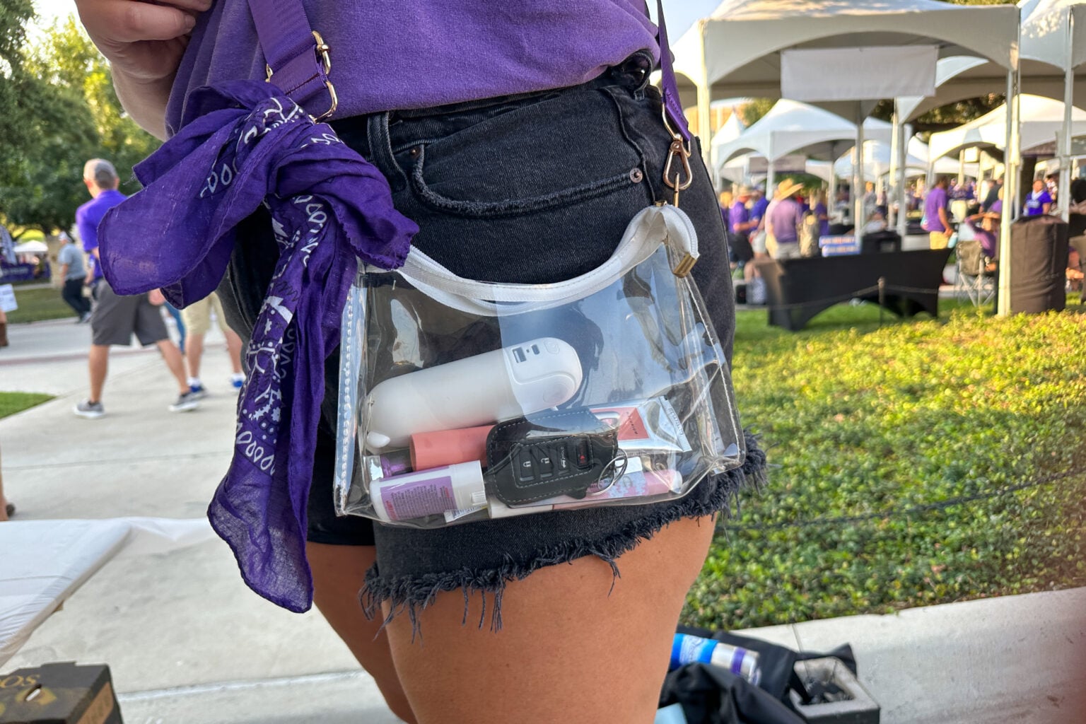 16 Cute Stadium Approved Bags for TCU Games - TCU Clear Bags